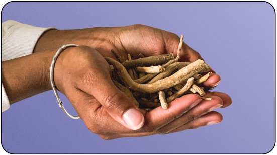 Ashwagandha: The Ayurvedic Healing Herb - Peak